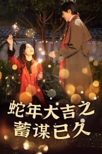 新年之假戏真做 - 现代都市 (2025) 海报