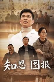 知恩图报短剧 - 现代都市 (2025) 海报