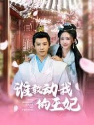 谁敢动我的王妃 - 古装仙侠 (2025) 海报