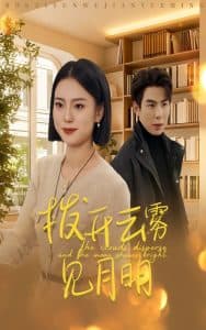 拨开云雾见月明 - 现代都市 (2025) 海报