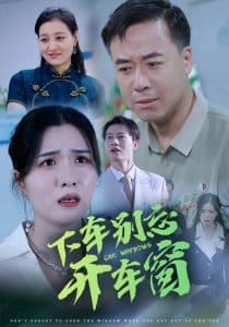 下车别忘开车窗 - 现代都市 (2025) 海报