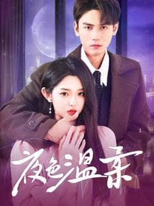 夜色温柔 - 女频恋爱 (2025) 海报