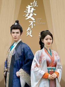 唯妻不负 - 古装仙侠 (2025) 海报