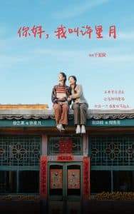 你好我叫许星月 - 现代都市 (2025) 海报