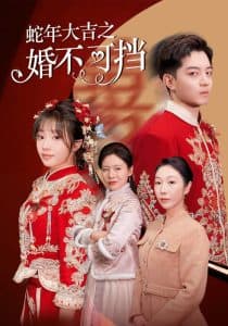 蛇年大吉之婚不可挡 - 现代都市 (2025) 海报
