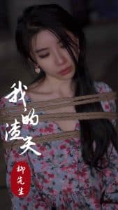 我的渣夫柳先生 - 现代都市 (2025) 海报