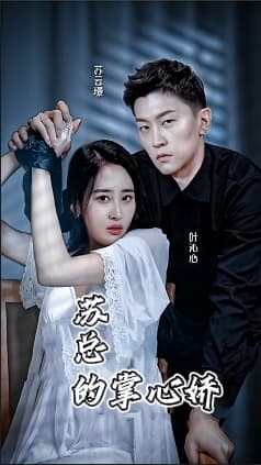 苏总的掌心骄 - 女频恋爱 (2024) 海报