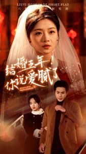 结婚五年你说爱腻了 - 现代都市 (2025) 海报