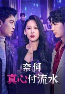 奈何真心付流水 - 现代都市 (2025) 海报
