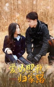 爱女照我归家路 - 现代都市 (2025) 海报