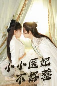 小小医妃不好惹 - 年代穿越 (2025) 海报