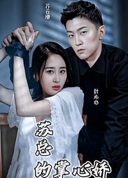 苏总的掌心娇 - 女频恋爱 (2024) 海报