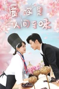 爱你是人间至味 - 女频恋爱 (2025) 海报