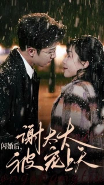 闪婚后，谢太太被宠上天 - 女频恋爱 (2024) 海报