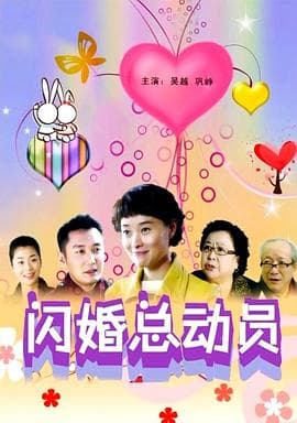 闪婚总动员 - 喜剧片 (2012) 海报