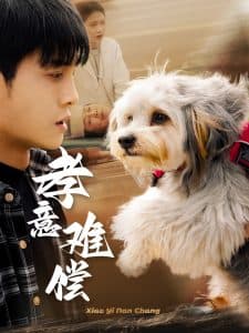 孝意难偿 - 现代都市 (2025) 海报