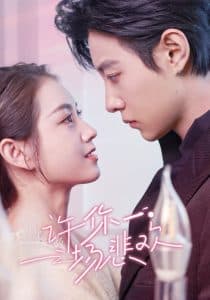 许你一场悲欢 - 女频恋爱 (2025) 海报