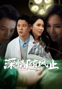 深情随风止 - 现代都市 (2025) 海报