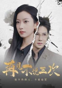 再见不说三次 - 现代都市 (2025) 海报