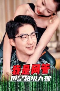 我是网管也是超级大神 - 现代都市 (2025) 海报