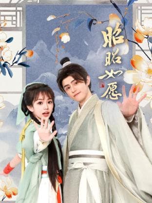 昭昭如愿 - 国产剧 (2025) 海报