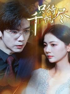 只待千帆尽 - 现代都市 (2025) 海报