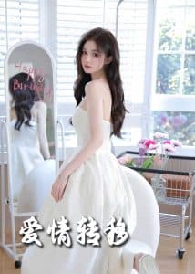 爱情转移 - 女频恋爱 (2025) 海报