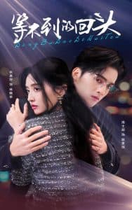 等不到的回头 - 女频恋爱 (2025) 海报