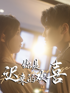 你是迟来的欢喜78集 - 女频恋爱 (2025) 海报