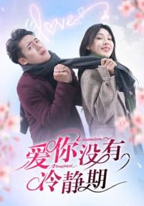 爱你没有冷静期 - 女频恋爱 (2025) 海报