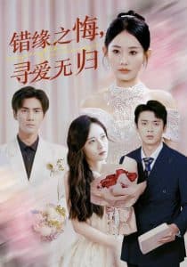 错缘之悔寻爱无归 - 现代都市 (2025) 海报