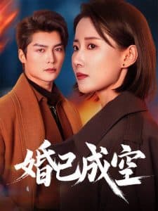 婚已成空 - 现代都市 (2025) 海报