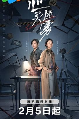 心灵迷雾 - 国产剧 (2025) 海报