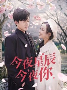 今夜星辰今夜你 - 女频恋爱 (2025) 海报