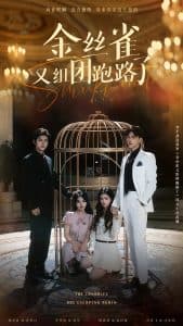 金丝雀又组团跑路了 - 女频恋爱 (2025) 海报