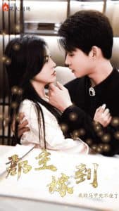 郡主嫁到我的马甲兜不住了 - 年代穿越 (2025) 海报