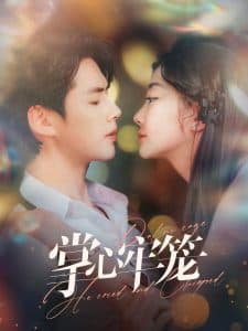 掌心牢笼 - 女频恋爱 (2025) 海报