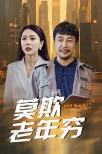 莫欺老年穷 - 现代都市 (2025) 海报