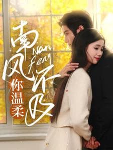 南风不及你温柔 - 女频恋爱 (2025) 海报