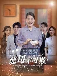 慈母不亲 - 现代都市 (2025) 海报