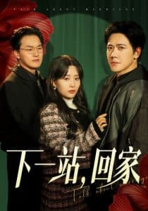 下一站，回家 - 现代都市 (2025) 海报