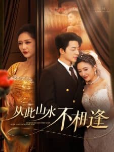 从此山水不相逢60集 - 现代都市 (2025) 海报