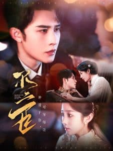 不二臣 - 现代都市 (2025) 海报