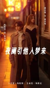 夜阑引他入梦来 - 女频恋爱 (2025) 海报