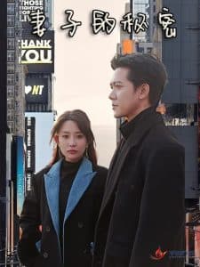 妻子的秘密短剧 - 现代都市 (2025) 海报