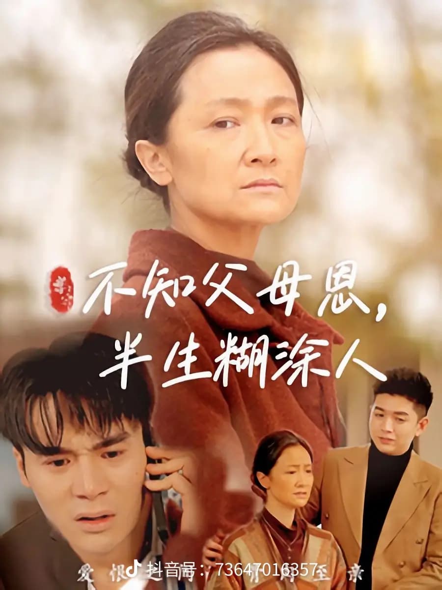 不知父母恩，半生糊涂人 - 现代都市 (2025) 海报