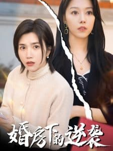 婚房下的逆袭 - 反转爽剧 (2025) 海报