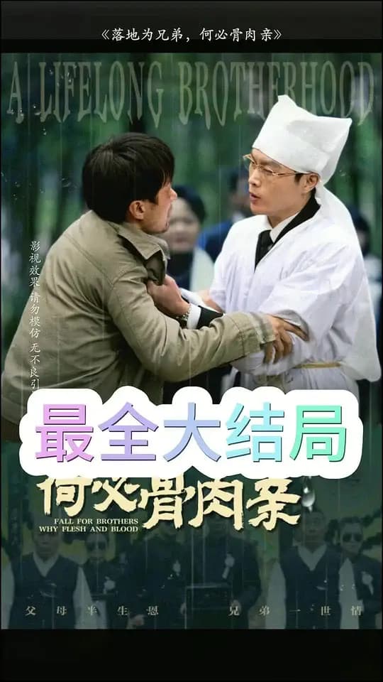 落地为兄弟，何必骨肉亲 - 现代都市 (2025) 海报