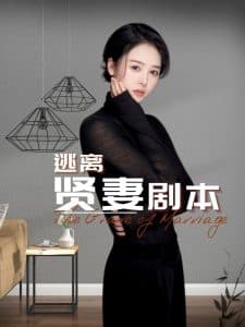 逃离贤妻剧本 - 现代都市 (2025) 海报