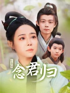 念君归 - 古装仙侠 (2025) 海报